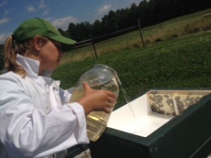 Norah feeds the bees. The white suit is worn to protect from bee stings. Photo by Stephanie Reighart.