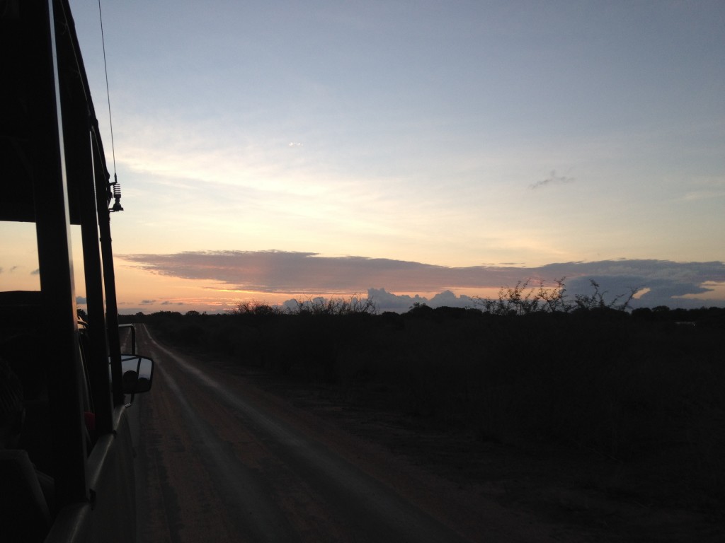 Sunset in Kruger National Park. 