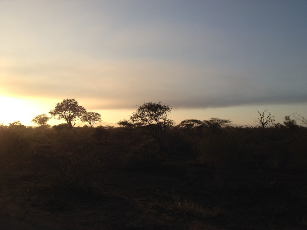 Sunrise at Kruger. 