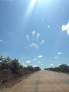 A vervet monkey print on the windshield of our car. 