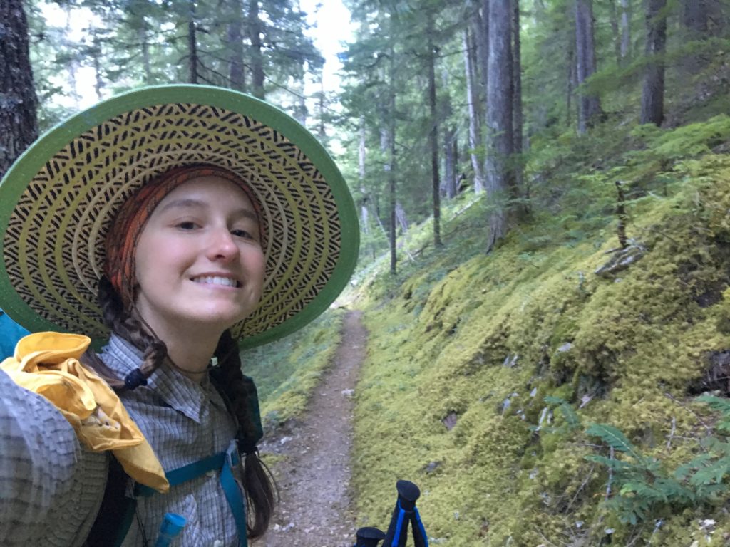 A trail through the moss.