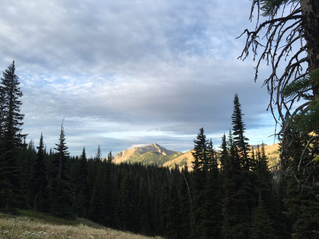 Morning light to the south near Harts Pass.